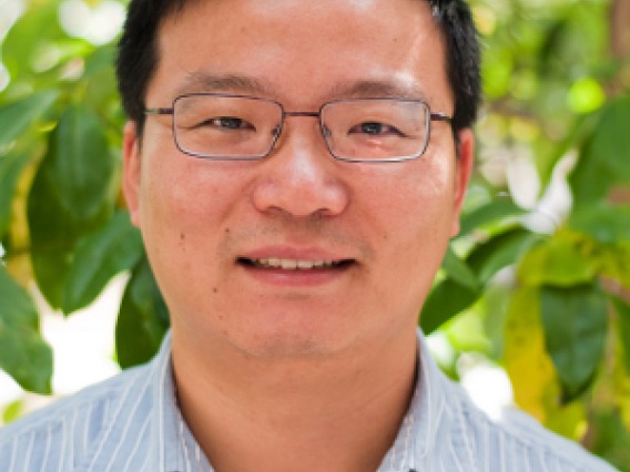 Haining Zhu, PhD